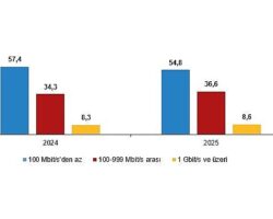 Girişimlerde Bilişim Teknolojileri Kullanım Araştırması, 2025