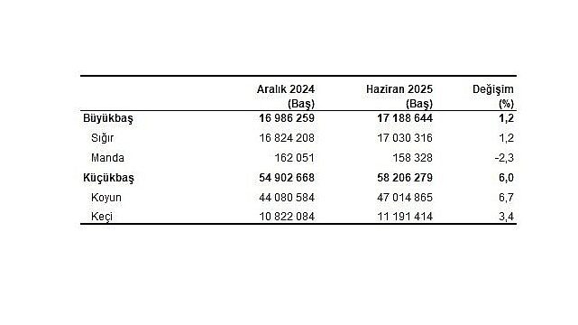 Hayvancılık İstatistikleri, Haziran 2025