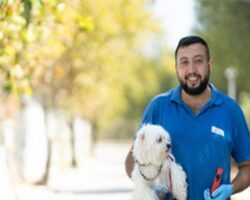 İzmir’de el konulan 20 cins köpek Işıkkent Köpek Bakımevi’nde