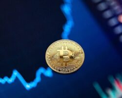 Kripto para piyasaları yılı nasıl kapatır?