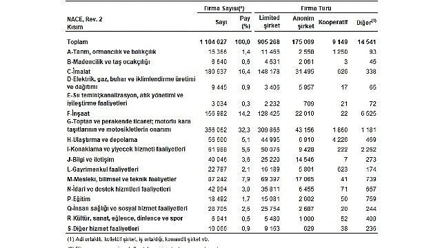 Sektör Bilançoları, 2024
