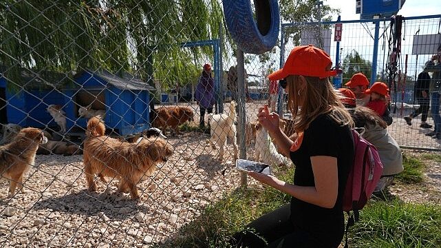 Borusan Pati Elçileri’nden sokağa terk edilmiş can dostlara mama, koruyucu aile ve sahiplendirme desteği