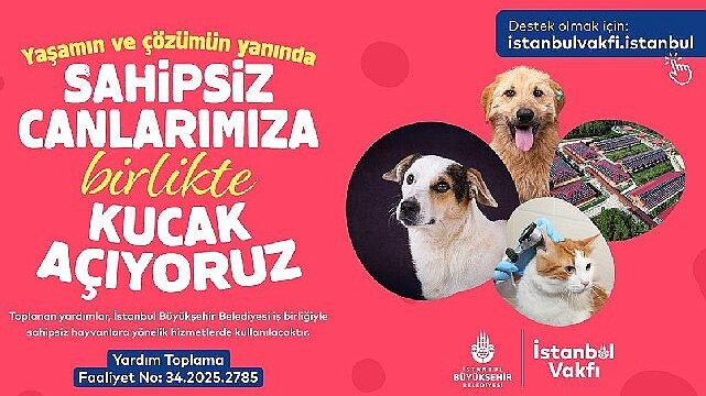 İstanbul Vakfı’ndan sahipsiz can dostlarımıza destek çağrısı