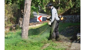 Kartepe Belediyesi Park ve Bahçeler Müdürlüğü’nden Yoğun Çalışma
