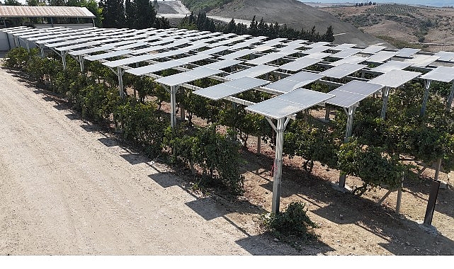 Yüzde 60 eğimli arazide  ilk güneş enerjisi santrali Adana’da