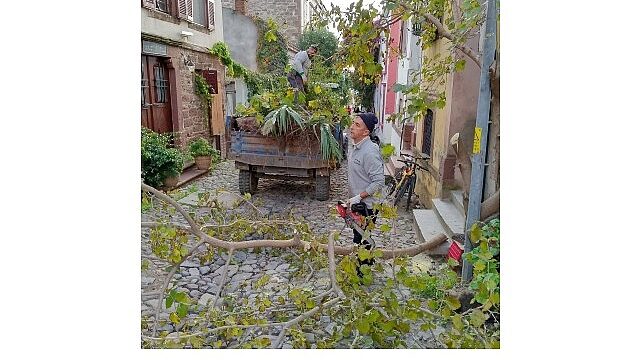 Ayvalık’ta Kışa Hazırlık…