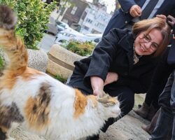 Başkan Köymen, lösemili çocuklarla “Ata Tohumu” ekti