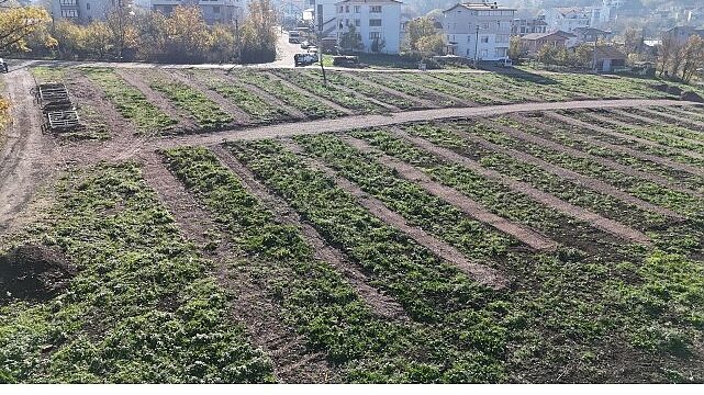 Büyükşehir’den Gölcük’e yeni mezarlık alanları