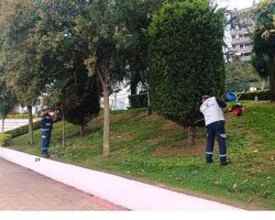Büyükşehir’den yeşil alanlara özel bakım