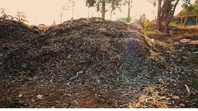 Didim Belediyesi’nden Örnek Proje: Pazar Atıkları Komposta Dönüşüyor