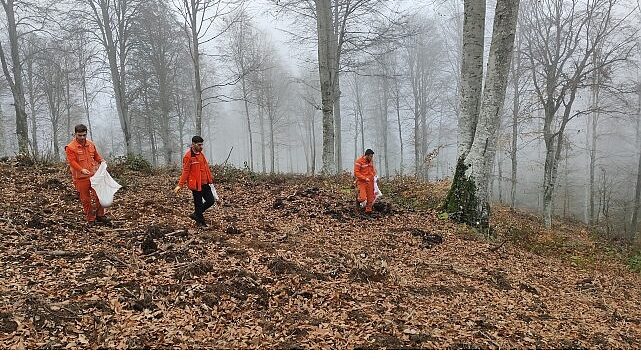 Harmancık’ta yanan ormanlara tohumlar serpiliyor