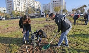 Karşıyaka’da zeytin fidanları toprakla buluştu