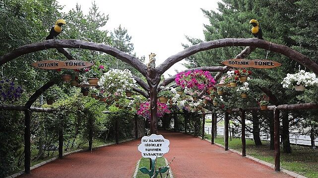 Keçiören’de Modern Serada Üretilen Çiçekler İlçeyi Süslüyor