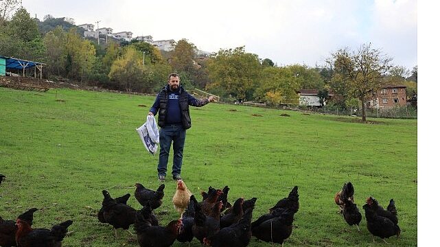 Kırsalda geçim kapısı güçleniyor, istihdam artıyor