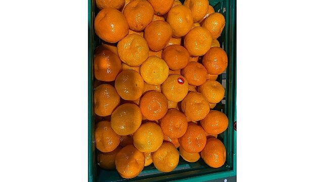 Mandalina ihracatı tarih yazıyor