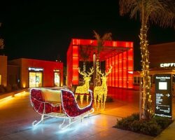 Setur Marinaları, 2025 boyunca sanat, spor ve festival rüzgârı estirdi