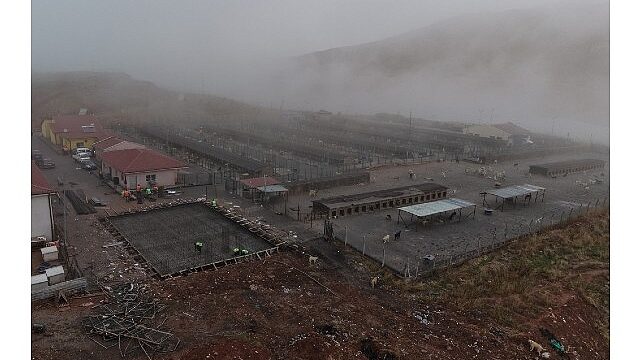 Sokak Hayvanları İçin Modern, Sağlıklı ve Doğal Yaşam Projesi Başladı
