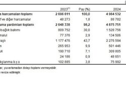 Sosyal Koruma İstatistikleri, 2024