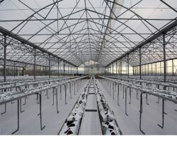 Termal Sera İle Verimli Üretim Başlıyor