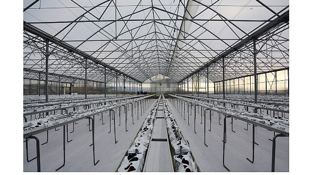 Termal Sera İle Verimli Üretim Başlıyor