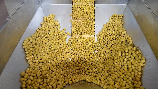 Zeytin ve zeytinyağı sektöründe güçler URGE Projesi’nde birleştirilecek