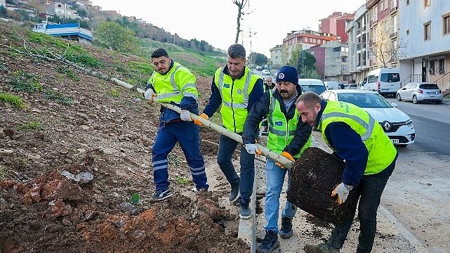 Zümrütevler’in parkları geri dönüşümle yenileniyor