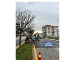 Aydın’ın Ulaşım Altyapısı Başkan Çerçioğlu’nun Çalışmaları ile Güçleniyor