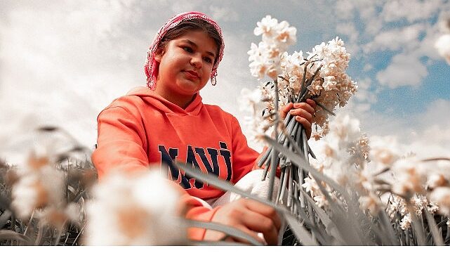 Bayındır’da Festival Heyecanı Başlıyor: Turan Mahallesi Nergis Kokularıyla Şenlenecek