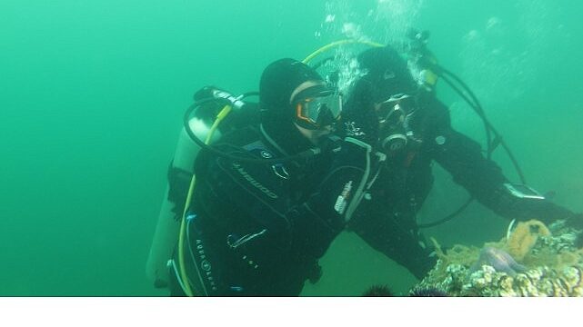 Büyükakın: “Dipten diriliş  tüm Marmara’ya yayılıyor”