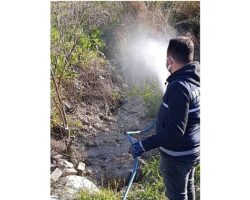 Didim’de Halk Sağlığı İçin Vektörlere Karşı Etkin Mücadele