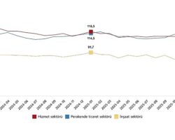 Hizmet, Perakende Ticaret ve İnşaat Güven Endeksleri, Ocak 2026