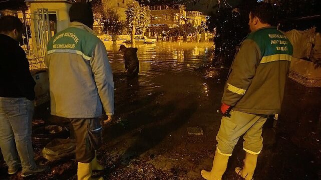 Kemer’de temizlik çalışmaları devam ediyor