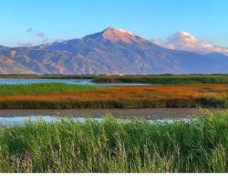 Milleyha Doğa Gözlem Merkezi, 13 Şubat’ta Üç Gün Sürecek “Doğa Buluşması” ile Kapılarını Açıyor.