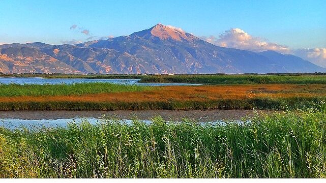 Milleyha Doğa Gözlem Merkezi, 13 Şubat’ta Üç Gün Sürecek “Doğa Buluşması” ile Kapılarını Açıyor.