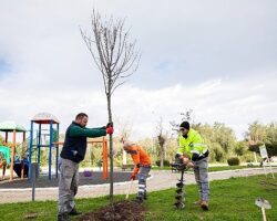 Narlıdere, Peyzaj Çalışmalarıyla Güzelleşiyor