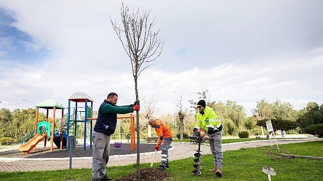 Narlıdere, Peyzaj Çalışmalarıyla Güzelleşiyor