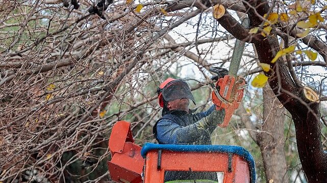 Öğrenciler tatilde, Konak Belediyesi ekipleri iş başında