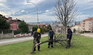 Şiddetli Lodosun Devirdiği Ağaçlara Osmangazi Belediyesi’nden Anında Müdahale 