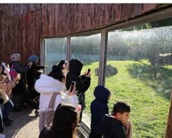 Sömestr Menderesli Çocuklara Güzel