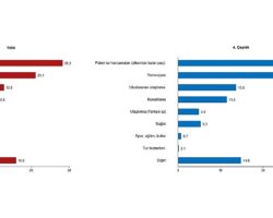 Turizm İstatistikleri, IV. Çeyrek: Ekim-Aralık ve Yıllık, 2025