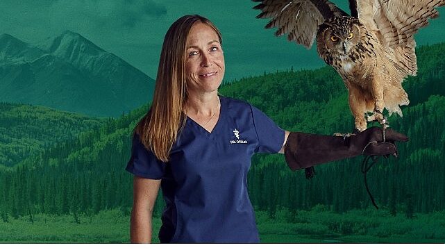 6 Bölümden Oluşan ‘Yukon Veterineri Özel’,   5. Sezonu İle 4-11-18 Şubat Çarşamba Saat 20.00’de İki  Bölüm Art Arda National Geographic WILD Ekranlarında!