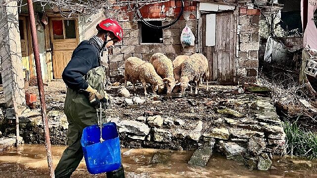 Büyükşehir ekipleri tüm canlılar için aynı özveriyle çalışıyor
