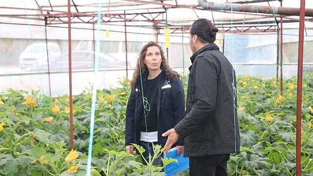 Büyükşehir’den hortum ve fırtınadan zarar gören üreticiye sera naylonu desteği