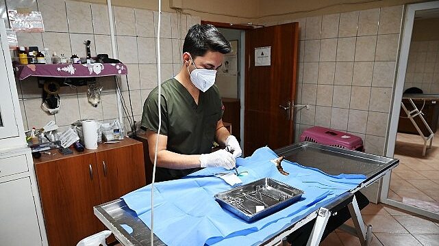 Kemer Belediyesi “Can dostlarına” sahip çıkıyor