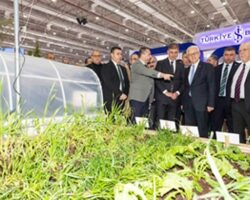 Tugay: Yönümüz de rotamız da üretici ve tüketicinin yanında olmak