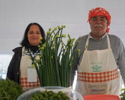 15. Uluslararası Alaçatı Ot Festivali’nde stantlar açıldı, yarışmalar ve etkinlikler hafta sonu boyunca sürüyor
