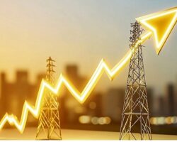 2025’i 61 milyon dolar ciro ile tamamlayan Omega Grup, 2026’da büyümeye devam ediyor