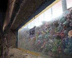 30 farklı akvaryum eşsiz bir gezi yaşatacak