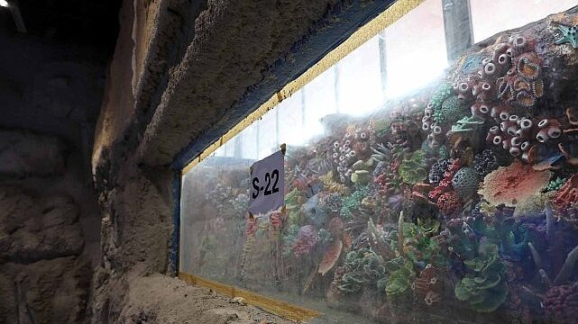 30 farklı akvaryum eşsiz bir gezi yaşatacak