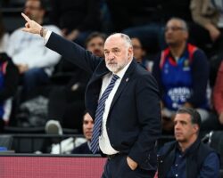 Anadolu Efes, Partizan mesaisinde